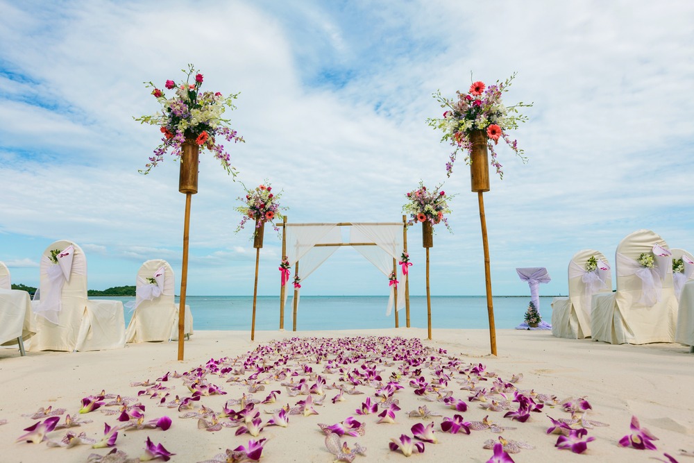 Weddings Honeymoons Jeff Page